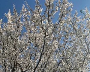 Синоптики оновили прогноз на четвер